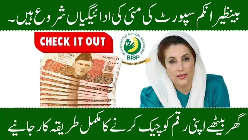 Check Your BISP Payment Online in May 2025 A Complete Guide (1)