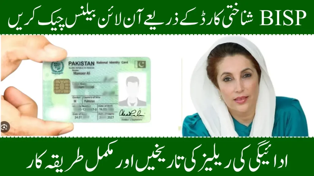 How to Check BISP Balance Online Using CNIC – 2025 Guide to the 8171 Web Portal