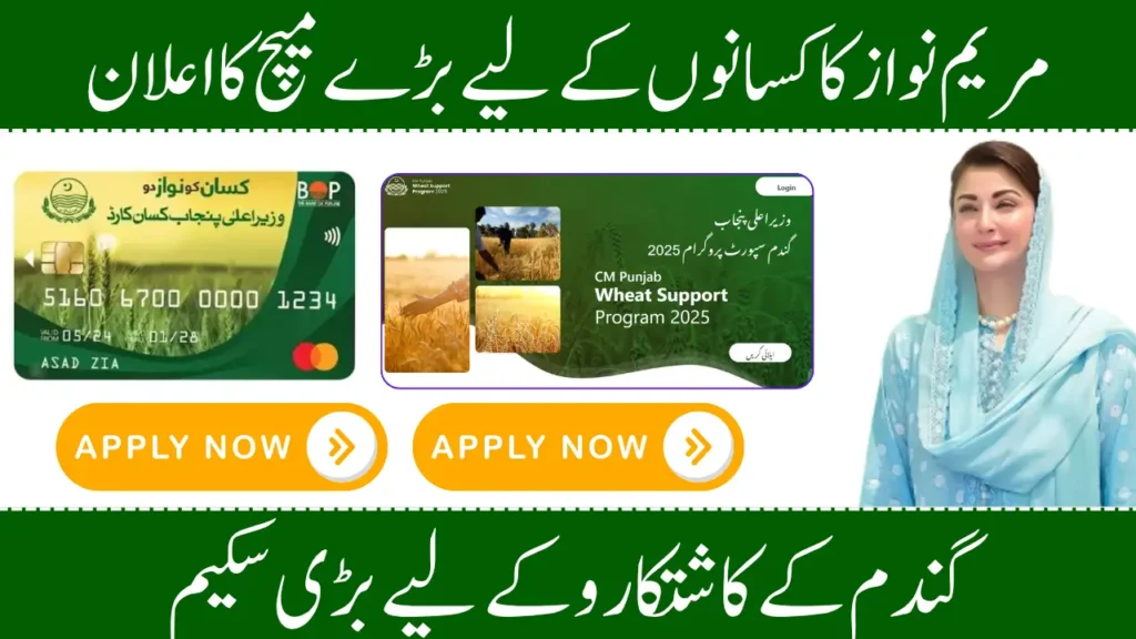 Punjab Farmer Subsidy 2025 Kisan Card, Wheat Support, and Solar Tube Wells