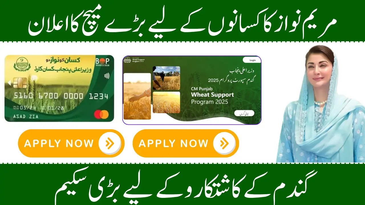 Punjab Farmer Subsidy 2025 Kisan Card, Wheat Support, and Solar Tube Wells