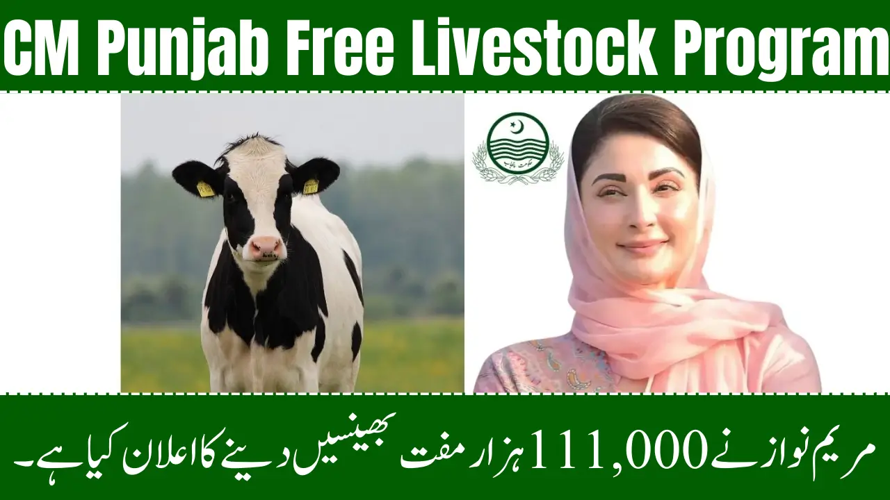 Punjab Livestock Program Phase 2 Empowering Farmers and Women with Financial Support and Livestock Distribution