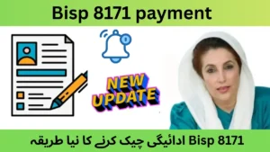 Bisp 8171 payment