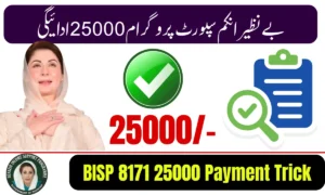BISP 8171 Rs. 25,000 Payment 2026 – Complete Guide to Eligibility, Status Check, and Safe Withdrawal